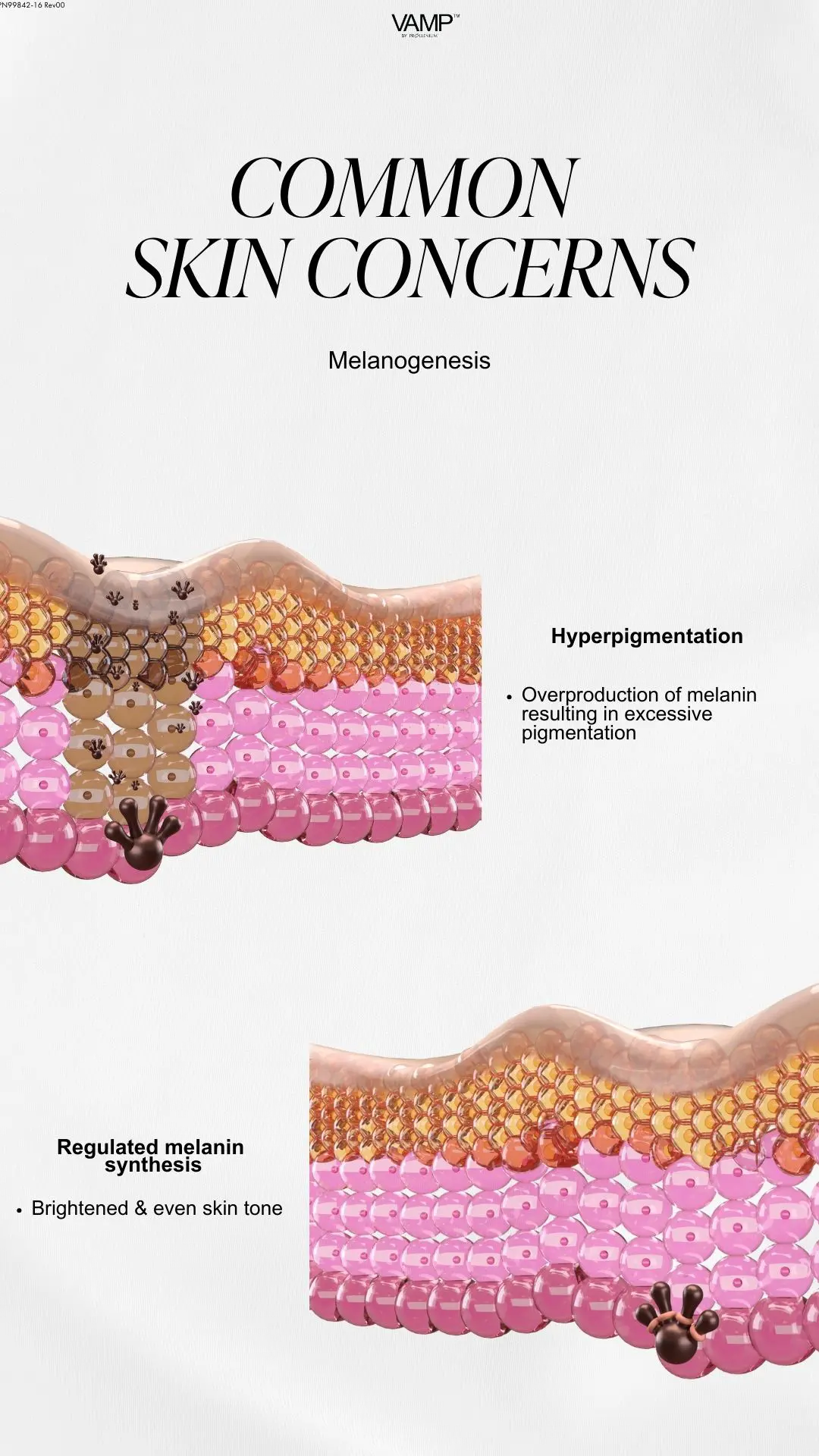 VAMP Skin Concerns Melanogenesis Story Size [EN]